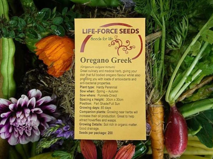 Life Force Seeds Herbs