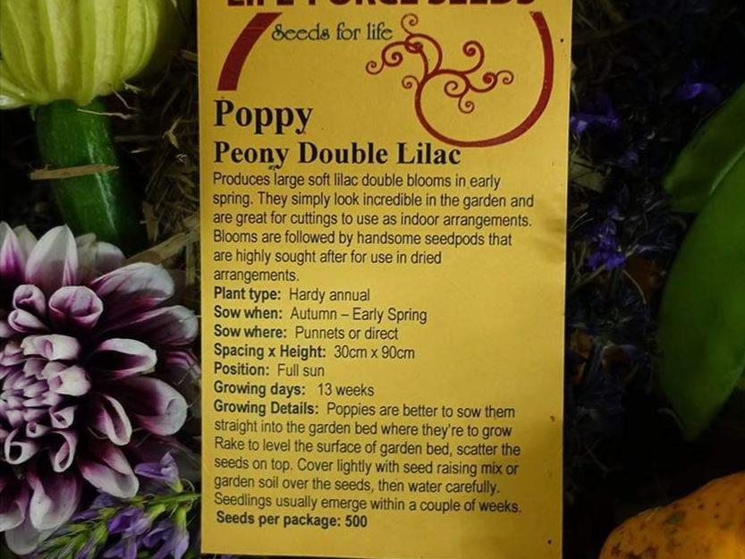 Life Force Seeds Flowers