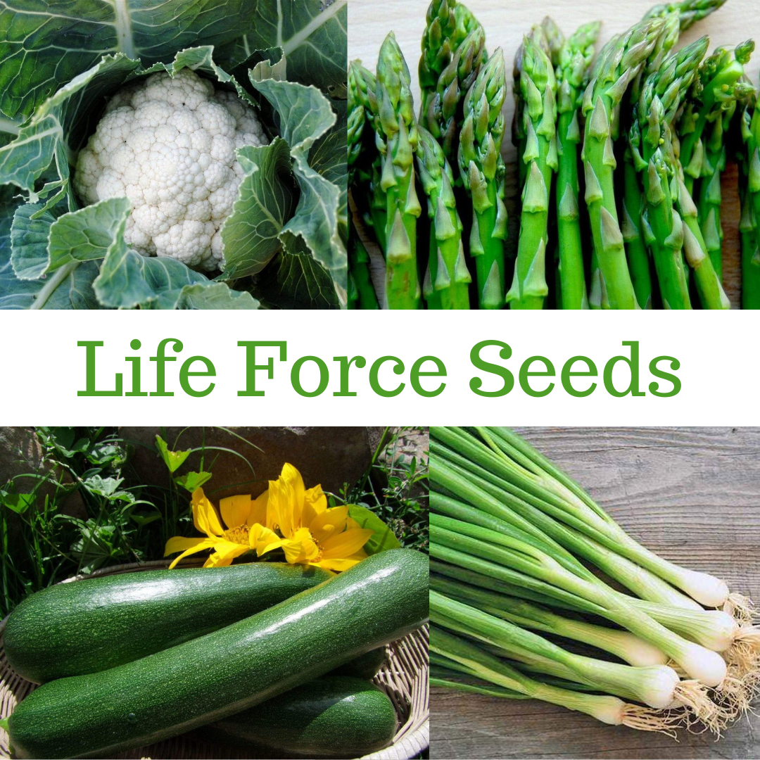 Life Force Seeds - Vegetables