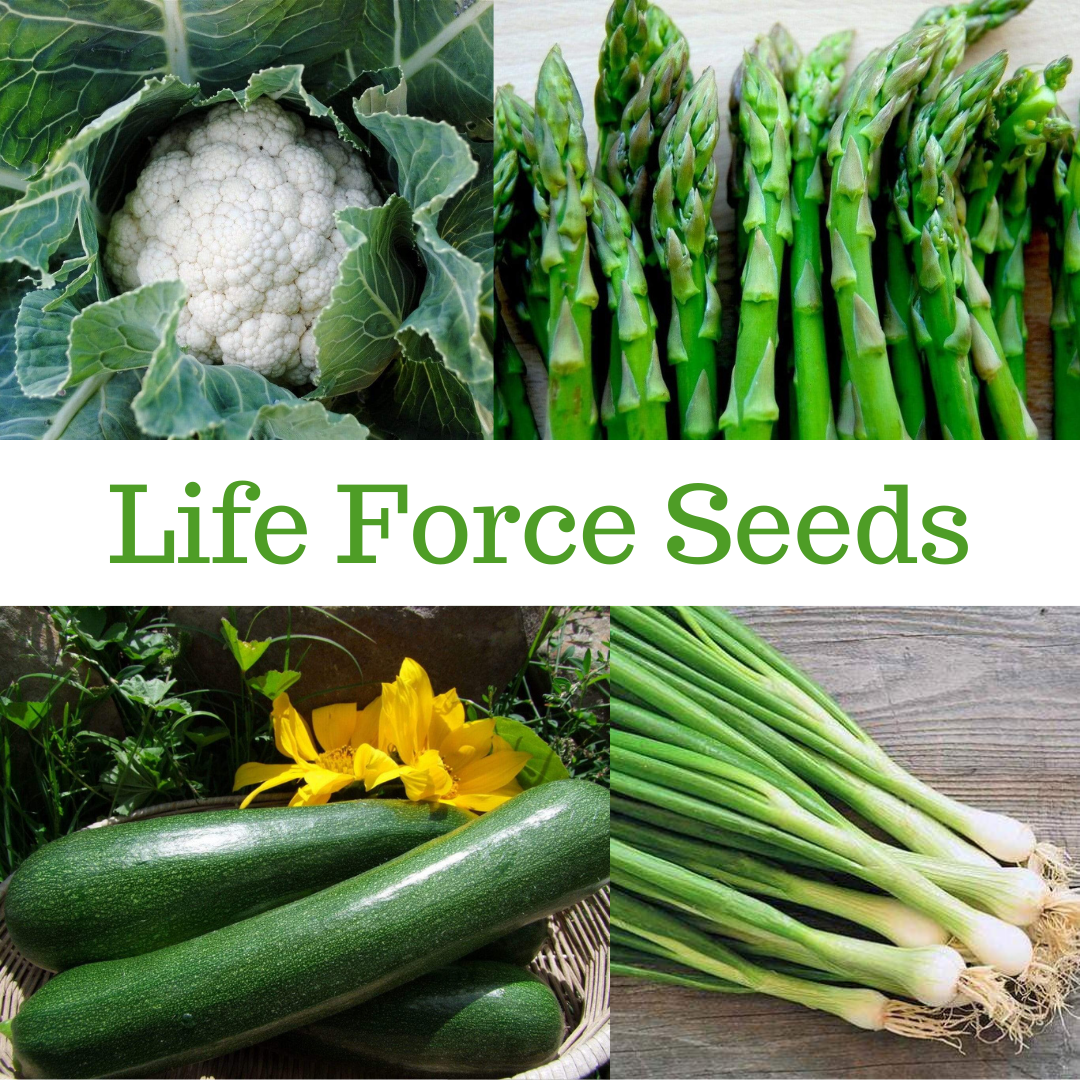 Life Force Seeds Vegetables