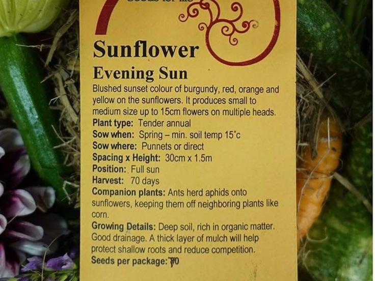 Life Force Seeds Flowers