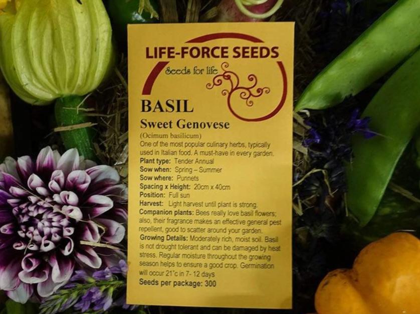 Life Force Seeds Herbs