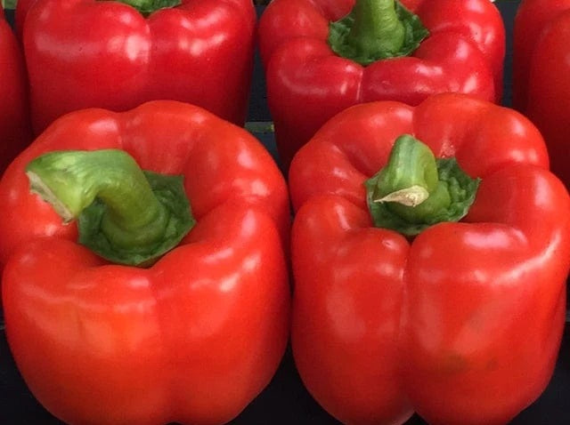 Life Force Seeds Vegetables
