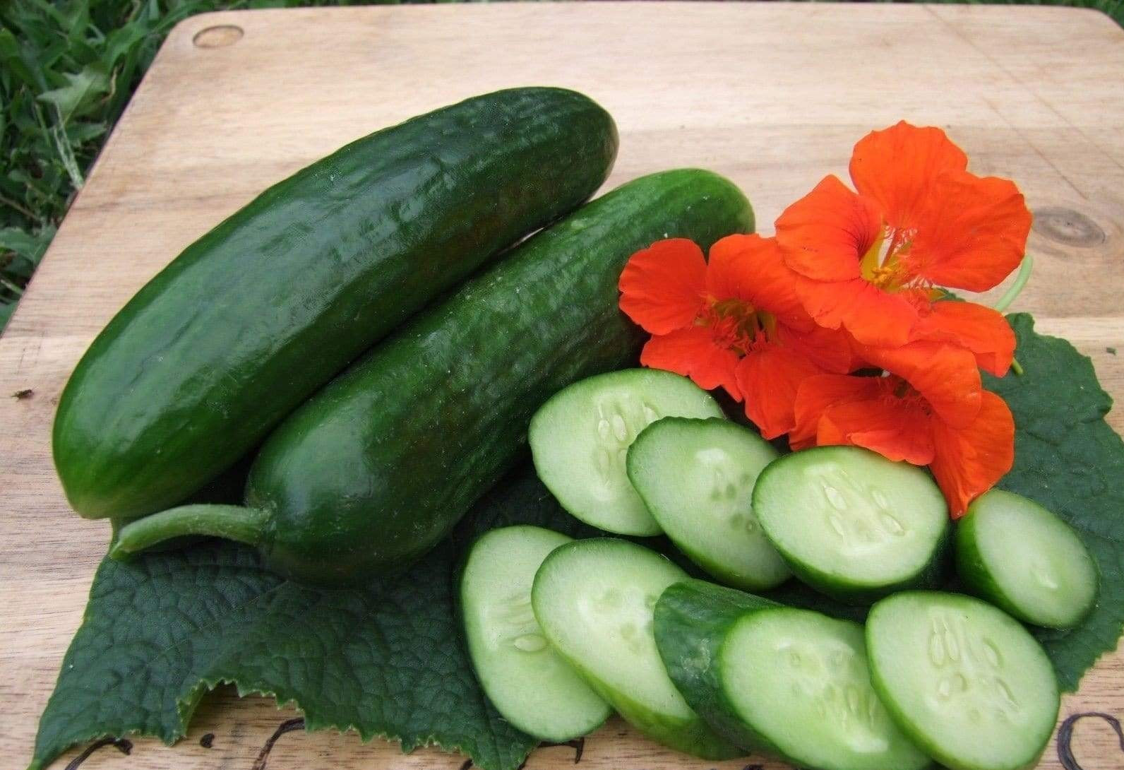 Life Force Seeds Vegetables