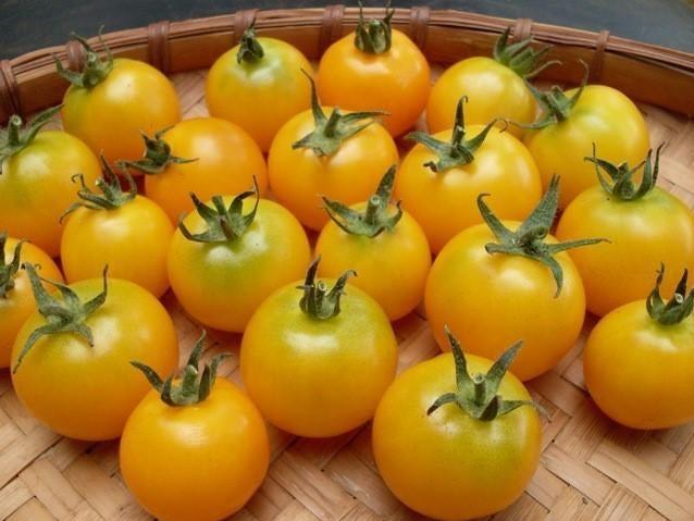 Life Force Seeds Vegetables