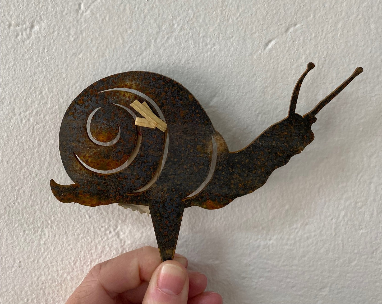 snail