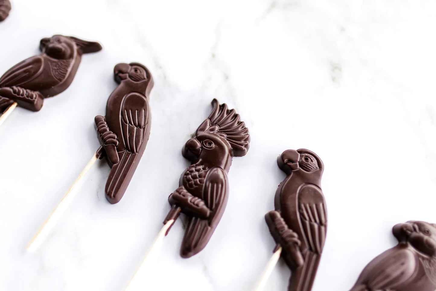 Pack of six native Australian bird chocolates on bamboo sticks by Deva Cacao