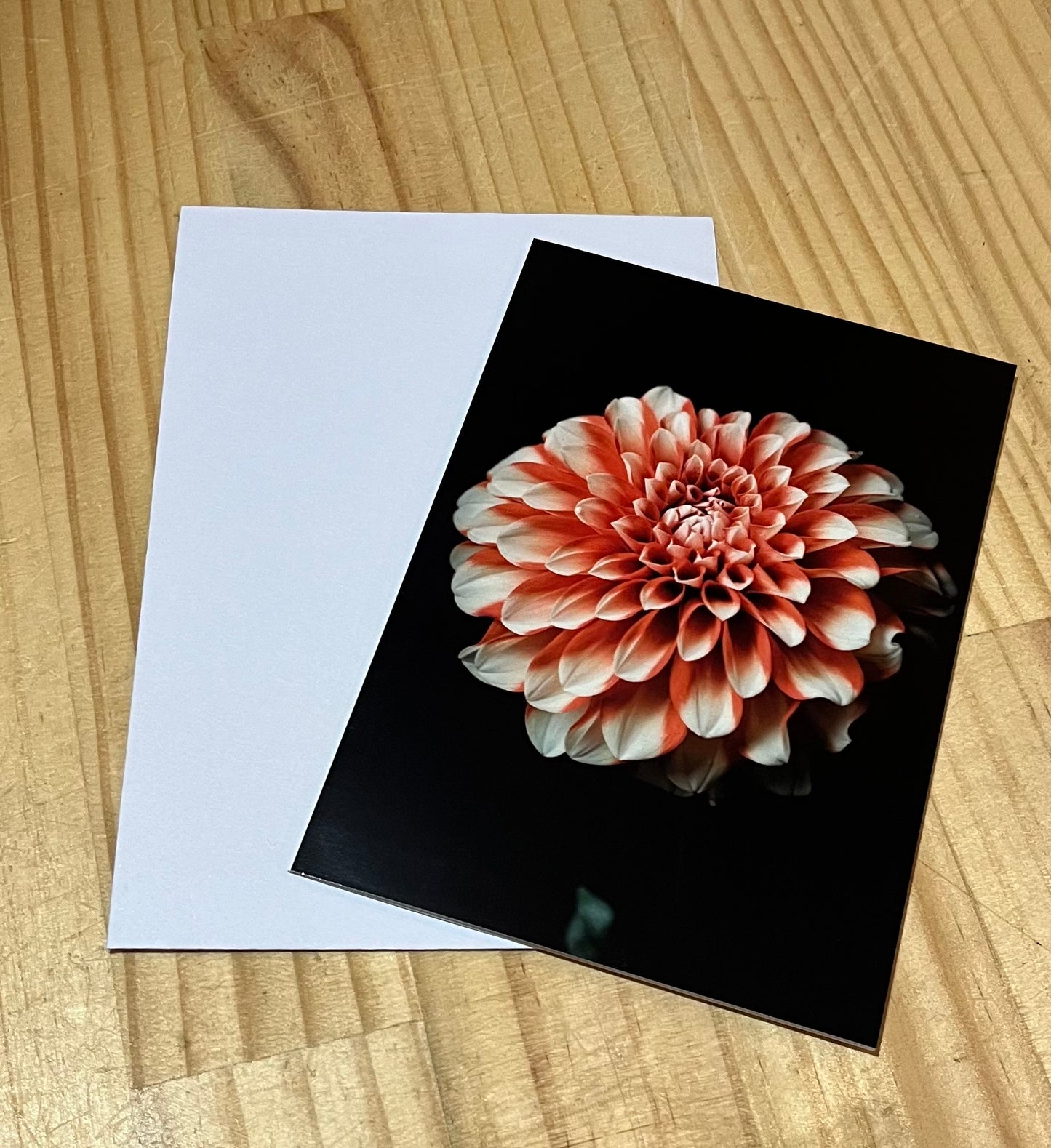 Tasha Photographic Cards