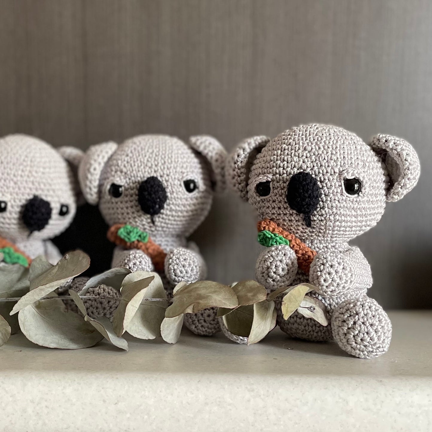 Koala