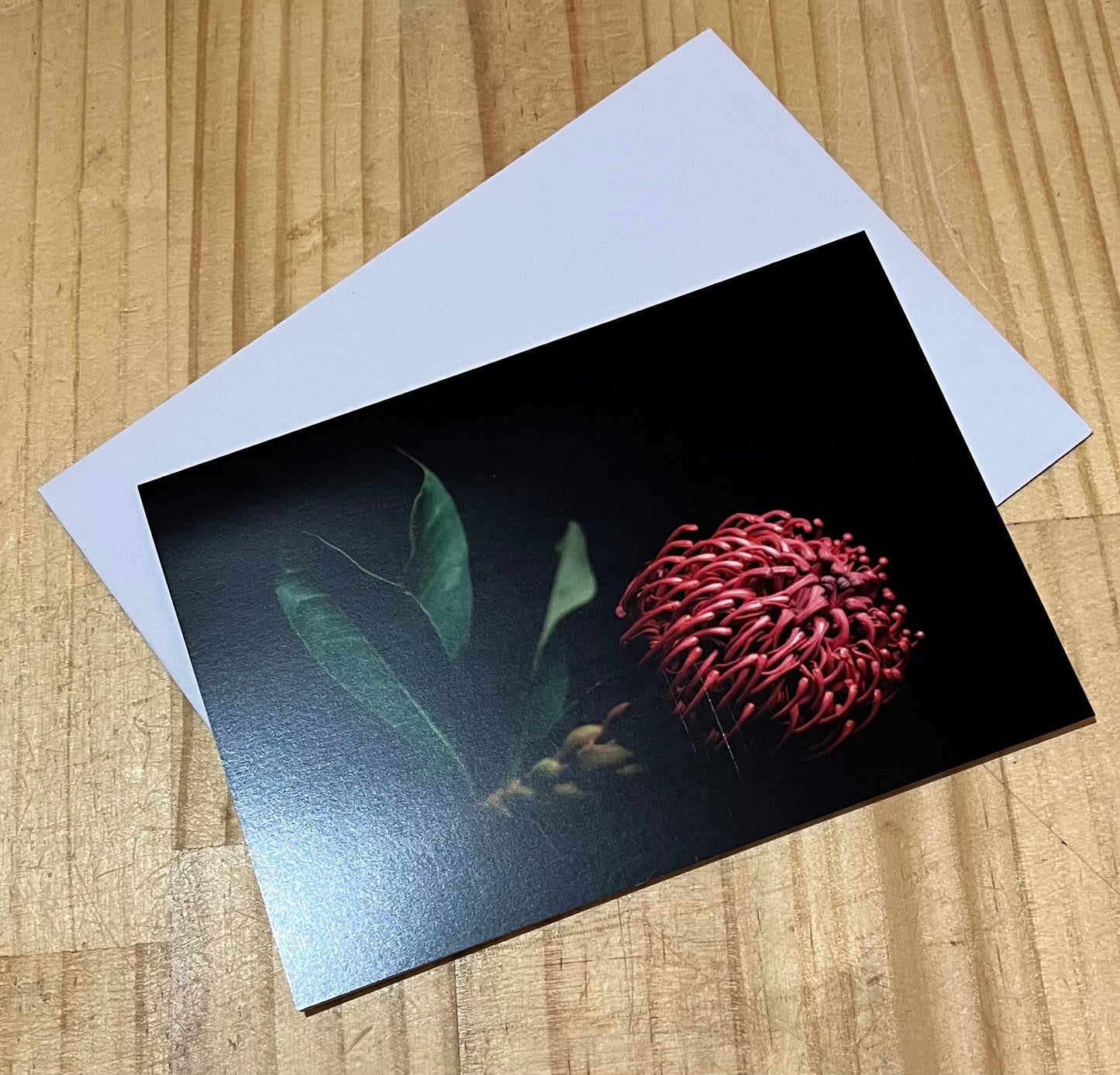 Tasha Photographic Cards