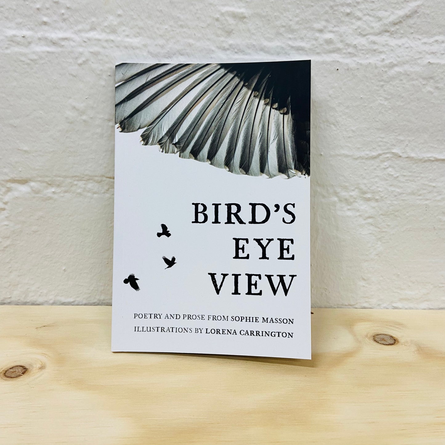 Bird's Eye View by Sophie Masson