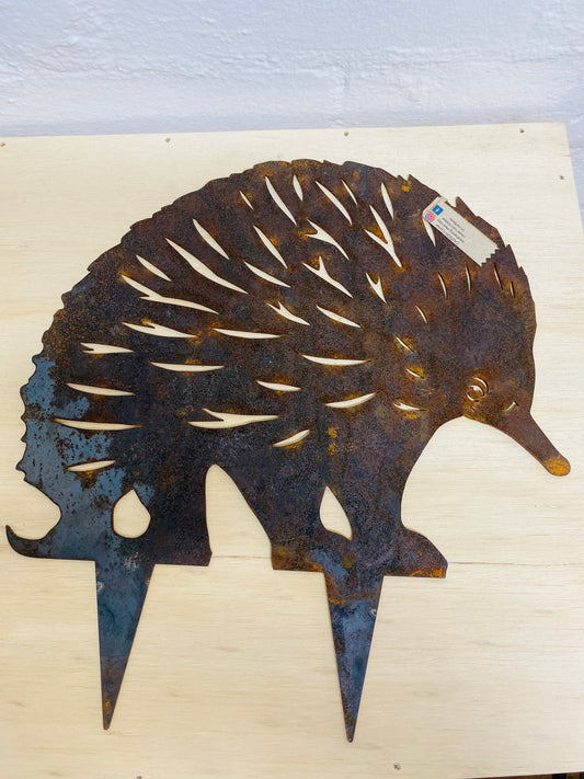 Echidna