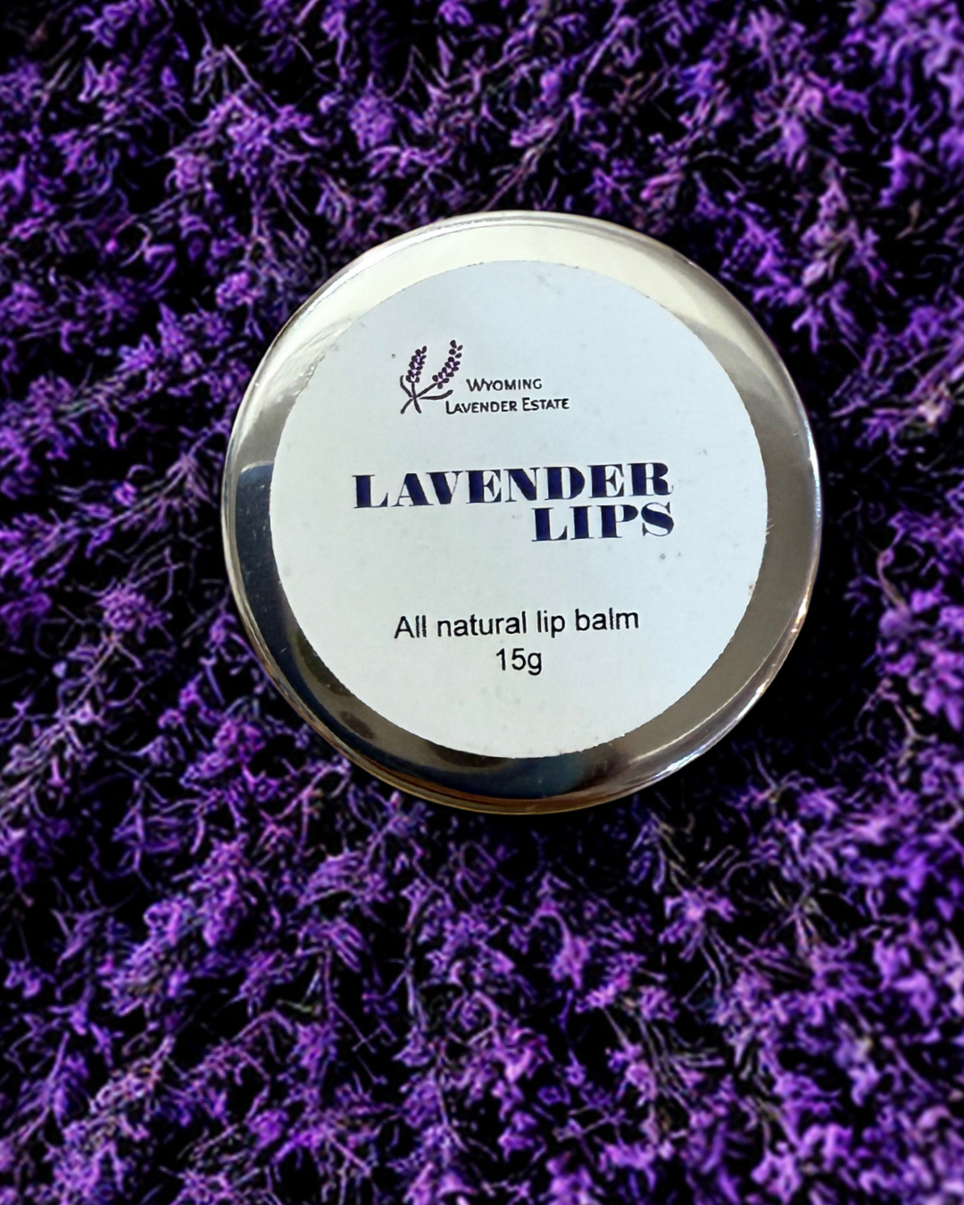 Lavender Lips Balm Jar by Wyoming Lavender