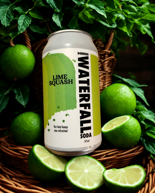 Lime Squash by Demlane Farm