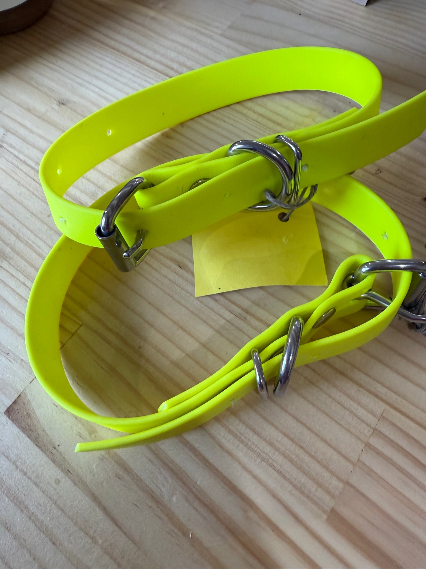 Dog Collar XL 38cm - 51cm