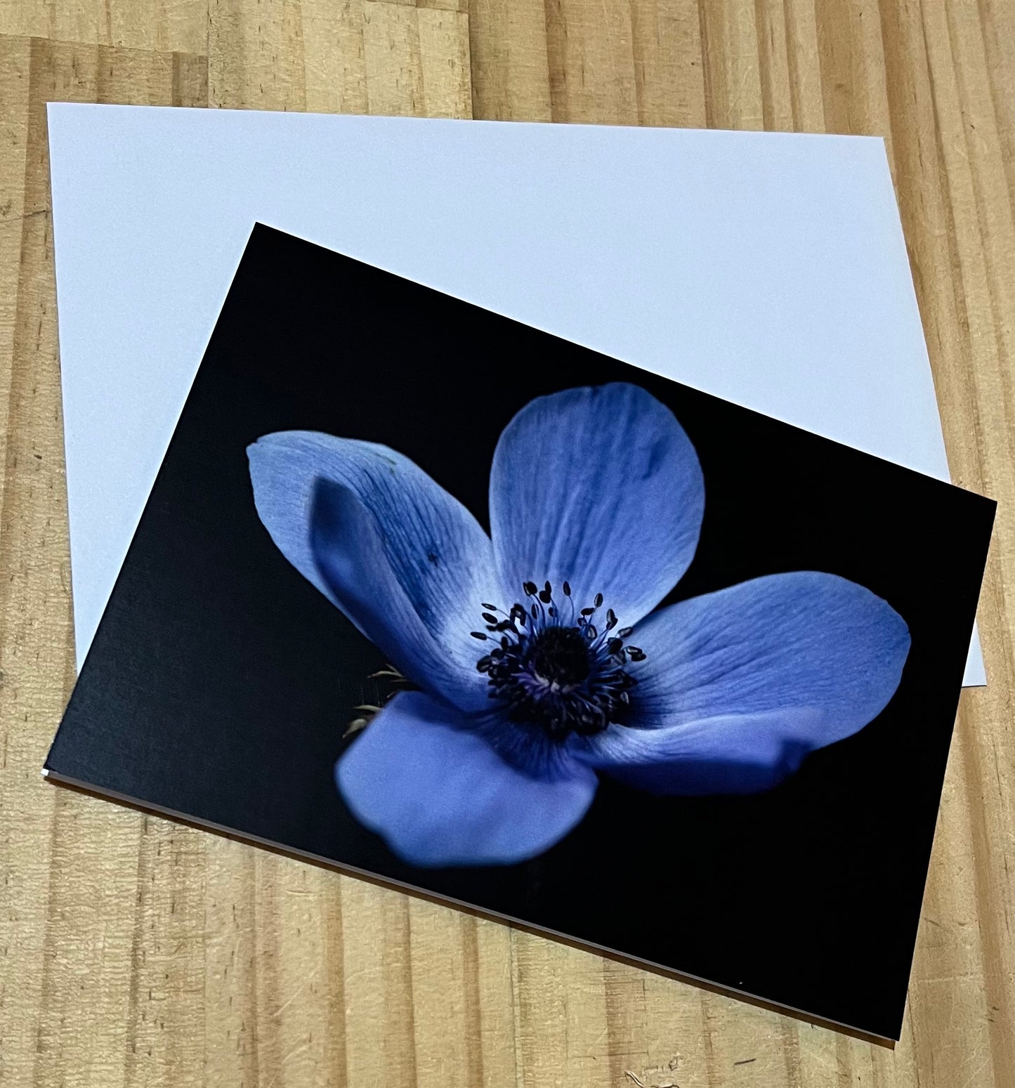 Tasha Photographic Cards
