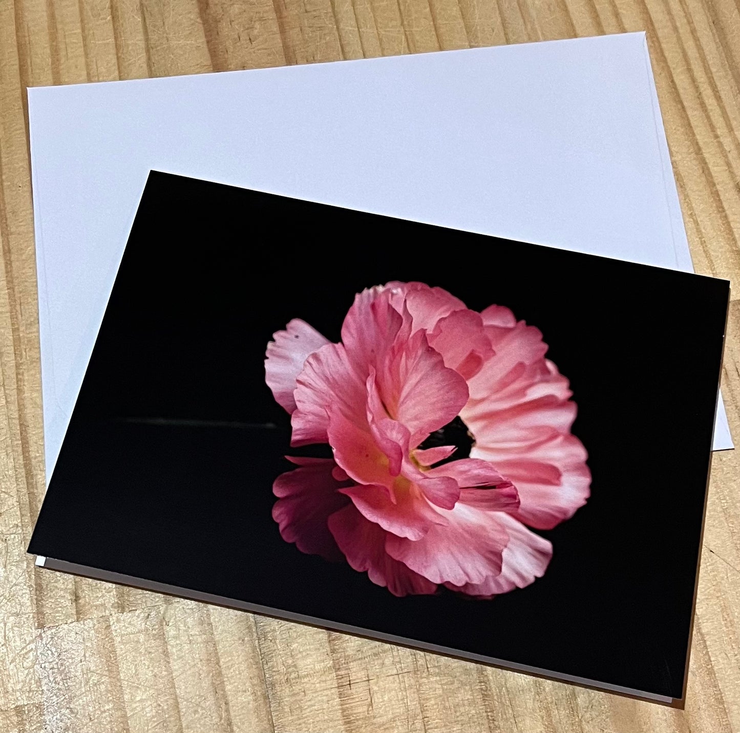 Tasha Photographic Cards