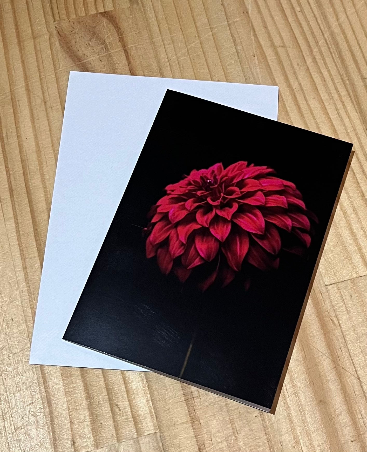 Tasha Photographic Cards