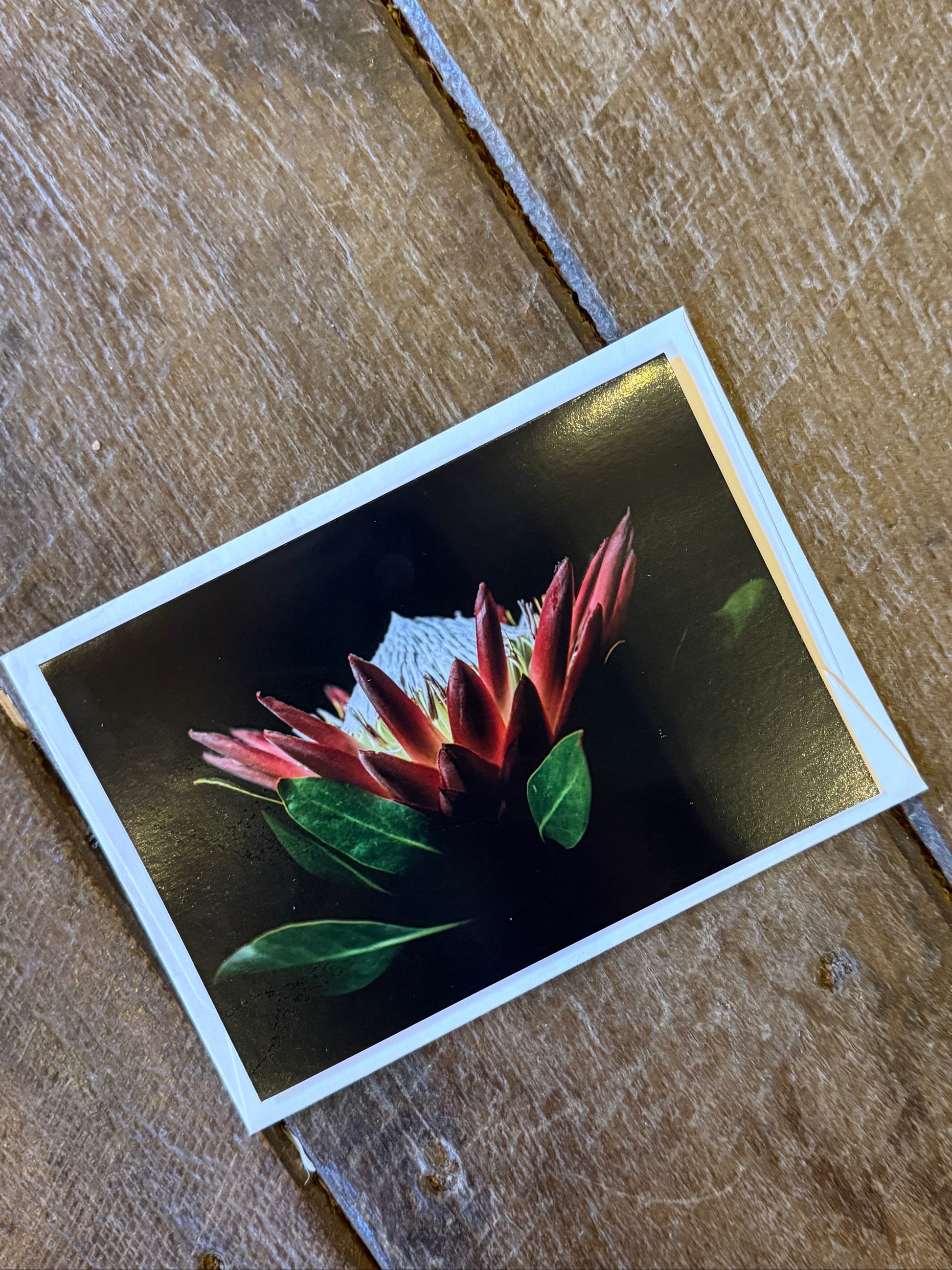 Framed photograph of a flower on a wooden surface