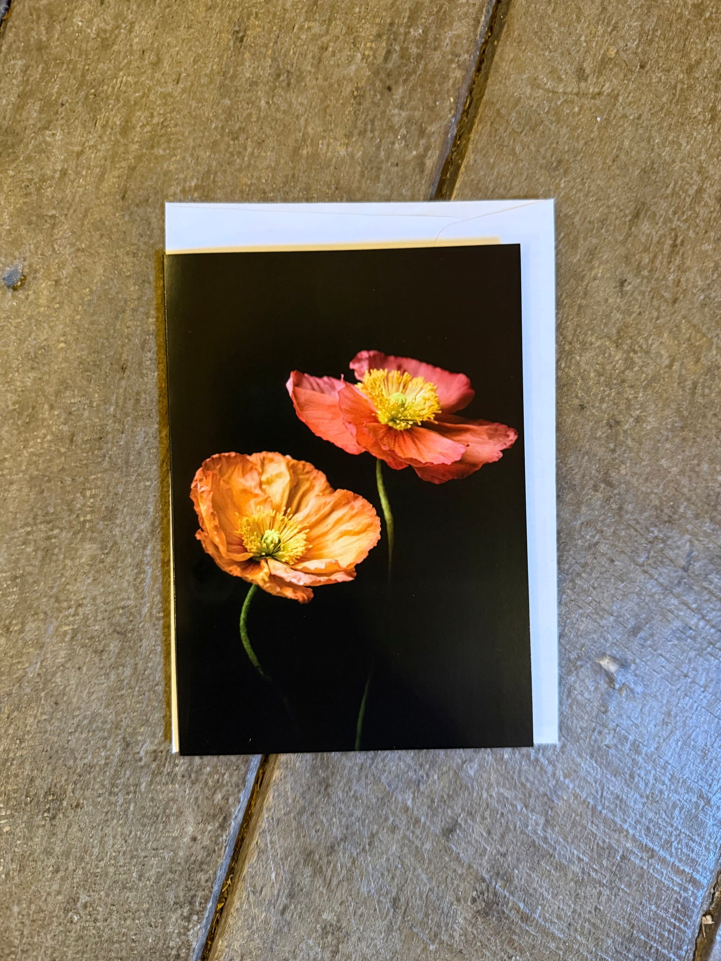 Tasha Photographic Cards