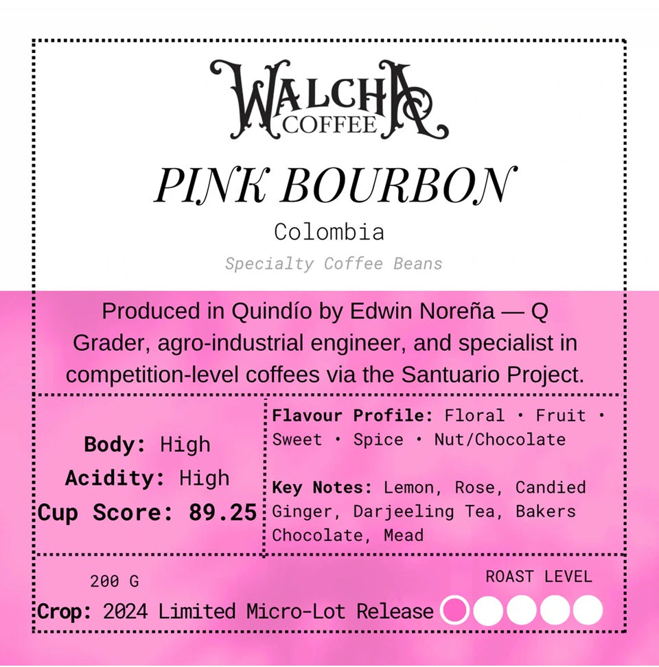 Walcha Coffee Pink Bourbon Columbia Specialty Coffee Beans