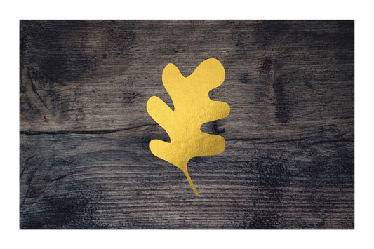 Seasons of New England Gift Voucher