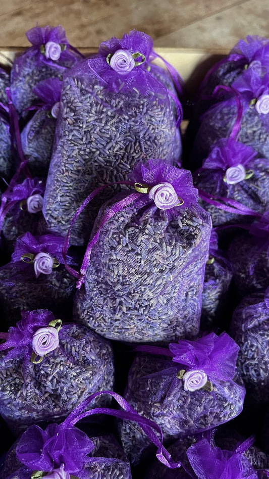 Wyoming organza dried lavender