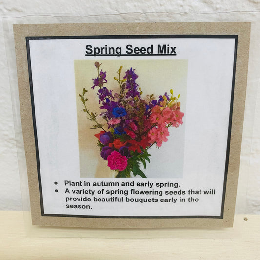 Spring Flower Seed Mix by Creekland Flowers