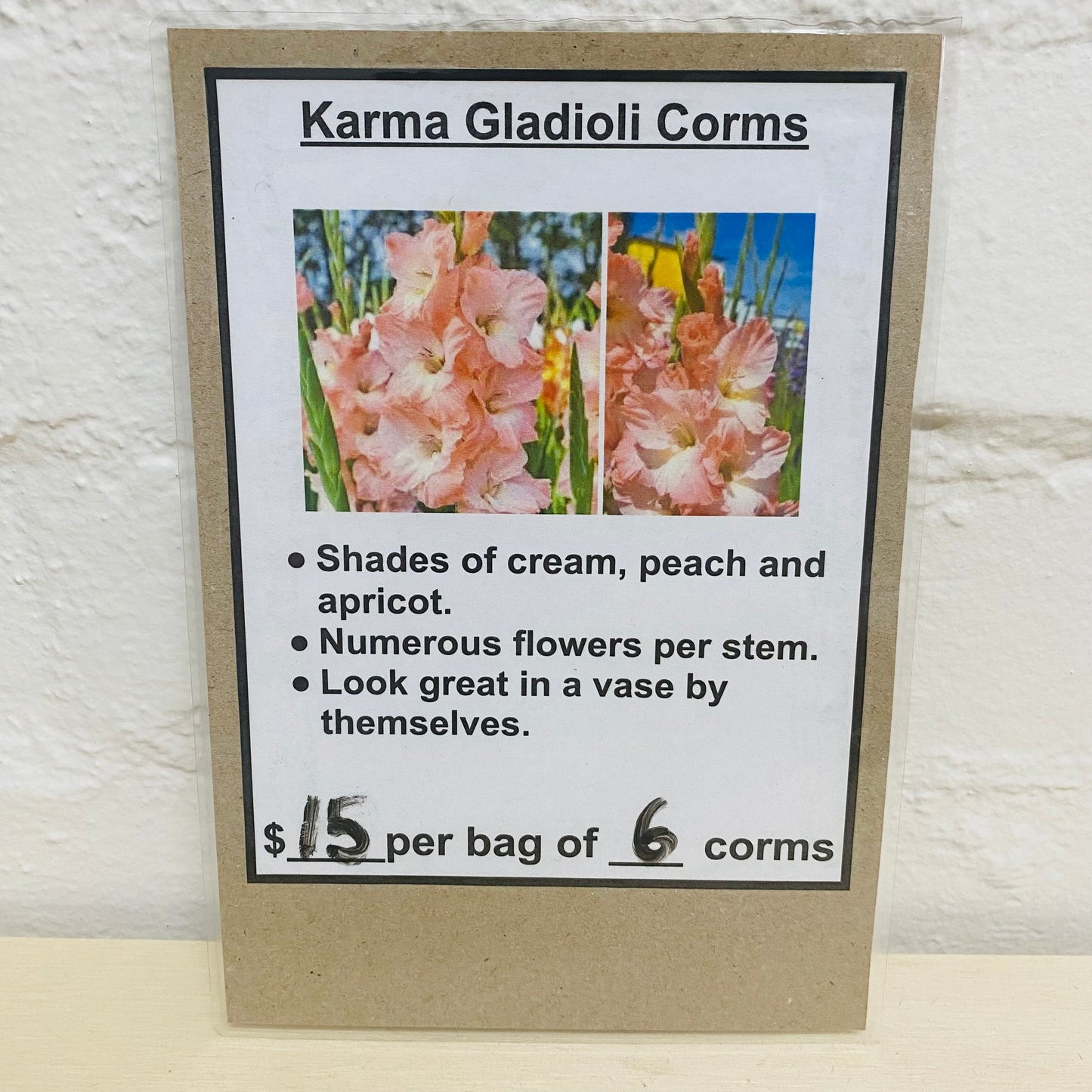 Karma Gladioli Corms by Creekland Flowers