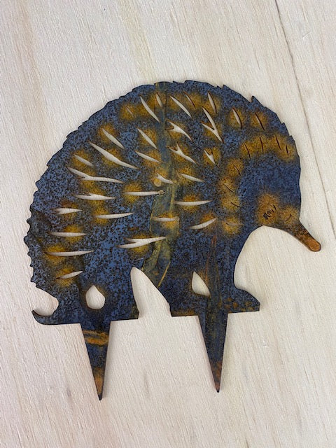 Echidna