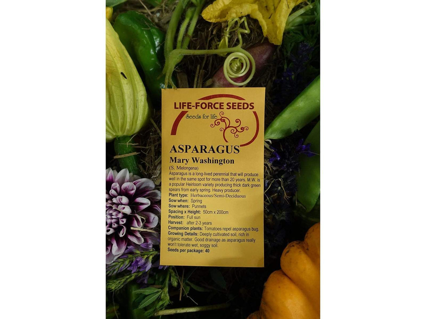 Life Force Seeds - Vegetables