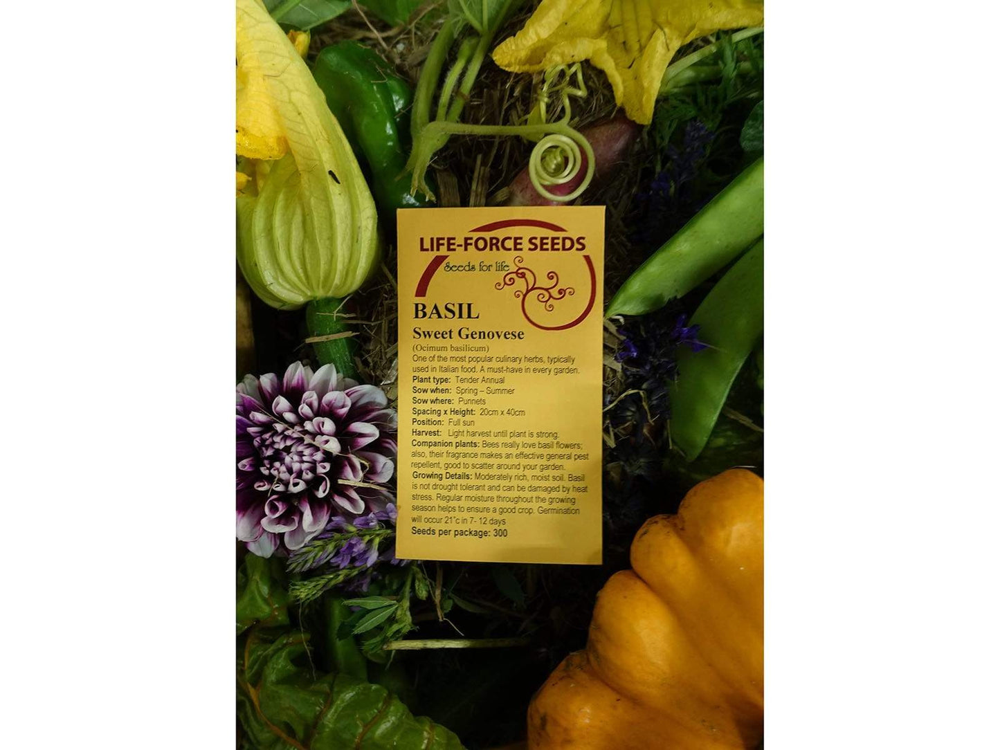 Life Force Seeds - Herbs