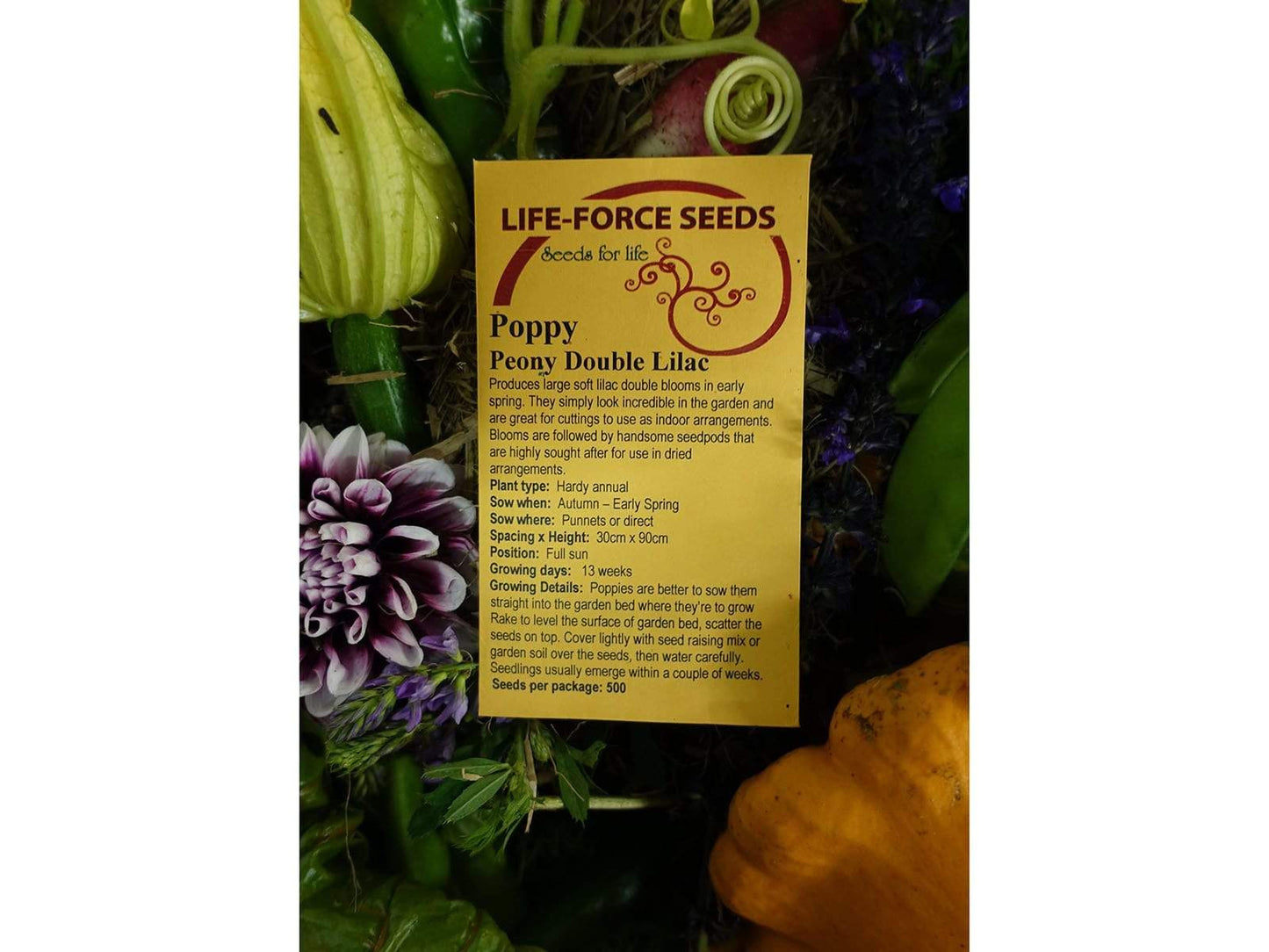 Life Force Seeds - Flowers