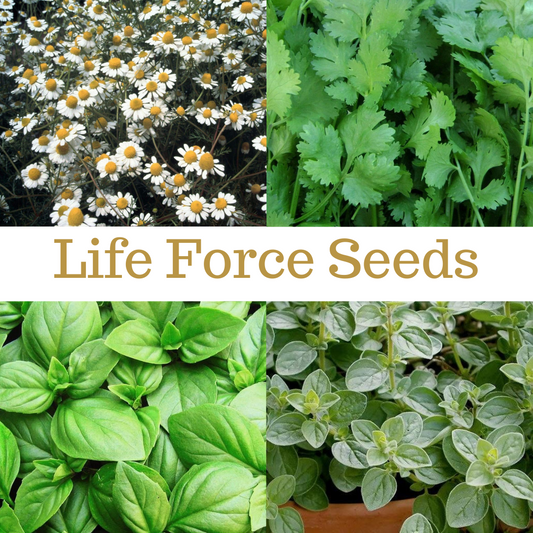 Life Force Seeds - Herbs
