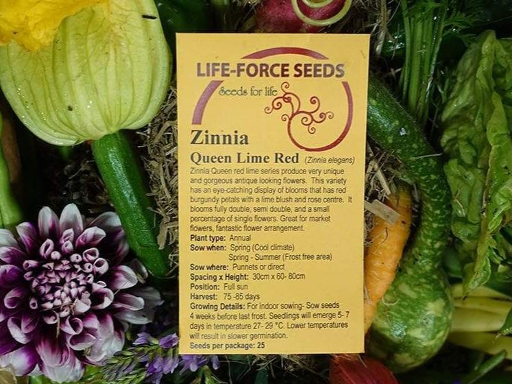 Life Force Seeds - Flowers