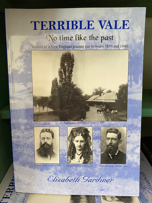 Terrible Vale Book